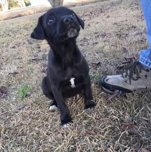 Meet your Posher, Jerry